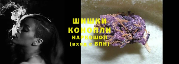 тгк Горняк