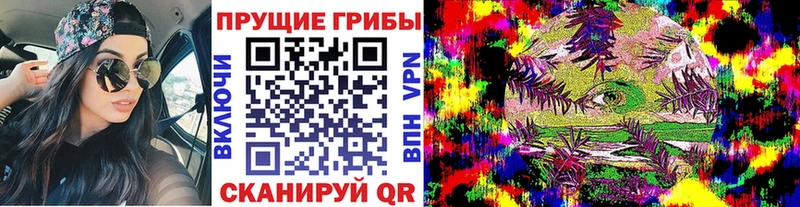 Псилоцибиновые грибы Psilocybine cubensis  Таганрог 